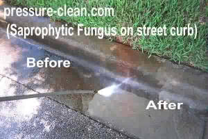 concreteclean.jpg